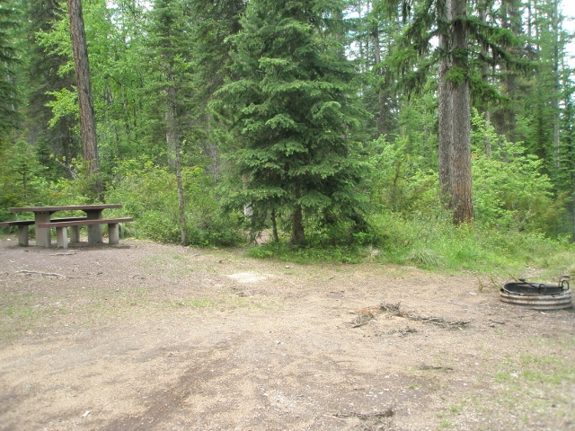 picture showing Campsite #5: Fire ring and accessible picnic table.